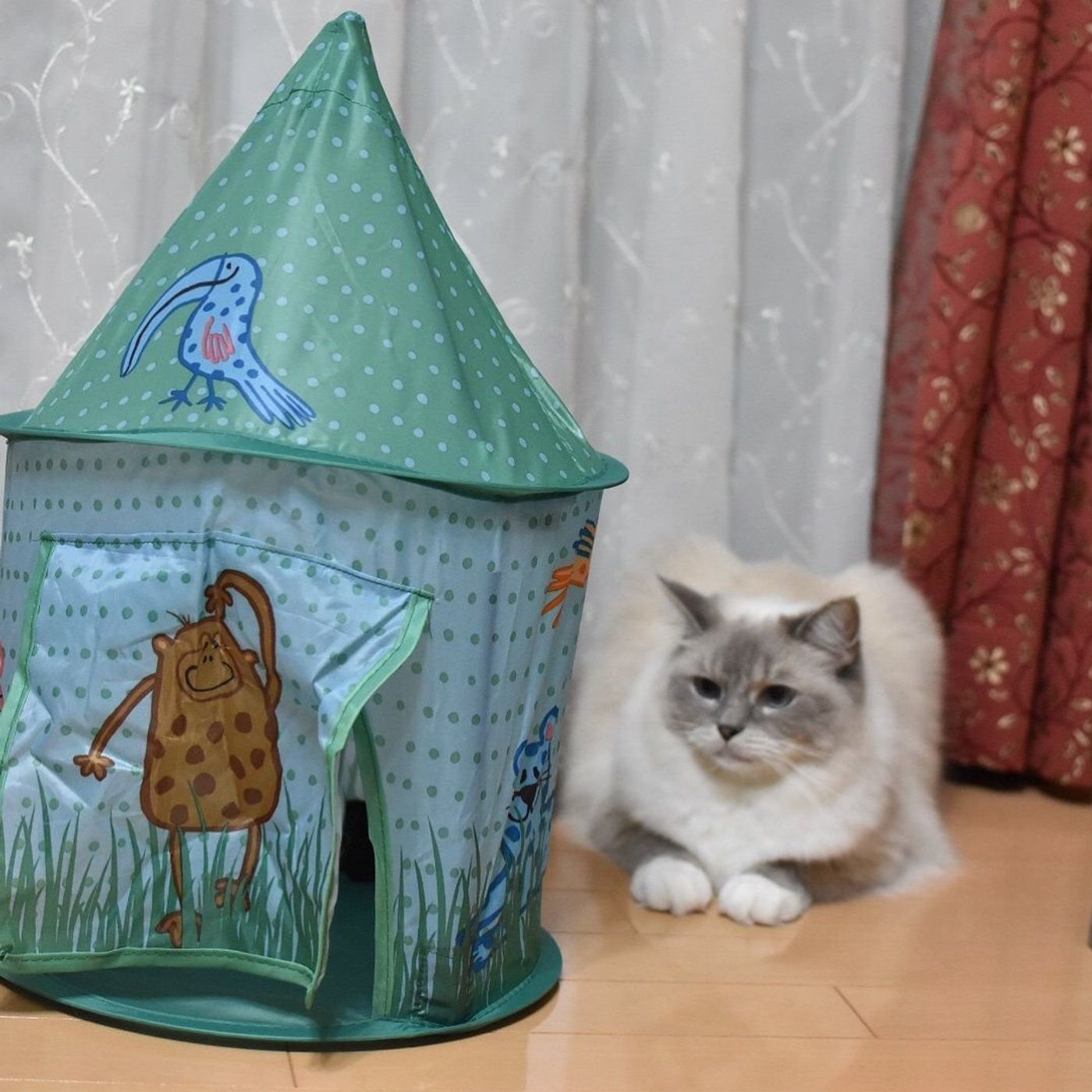 猫すっぽり フライングタイガーのキッズテントが可愛くて猫も夢中 ねこのきもちweb Magazine 猫すっぽり フライングタイガーのキッズテントが可愛くて猫も夢中 ねこのきもちweb Magazine