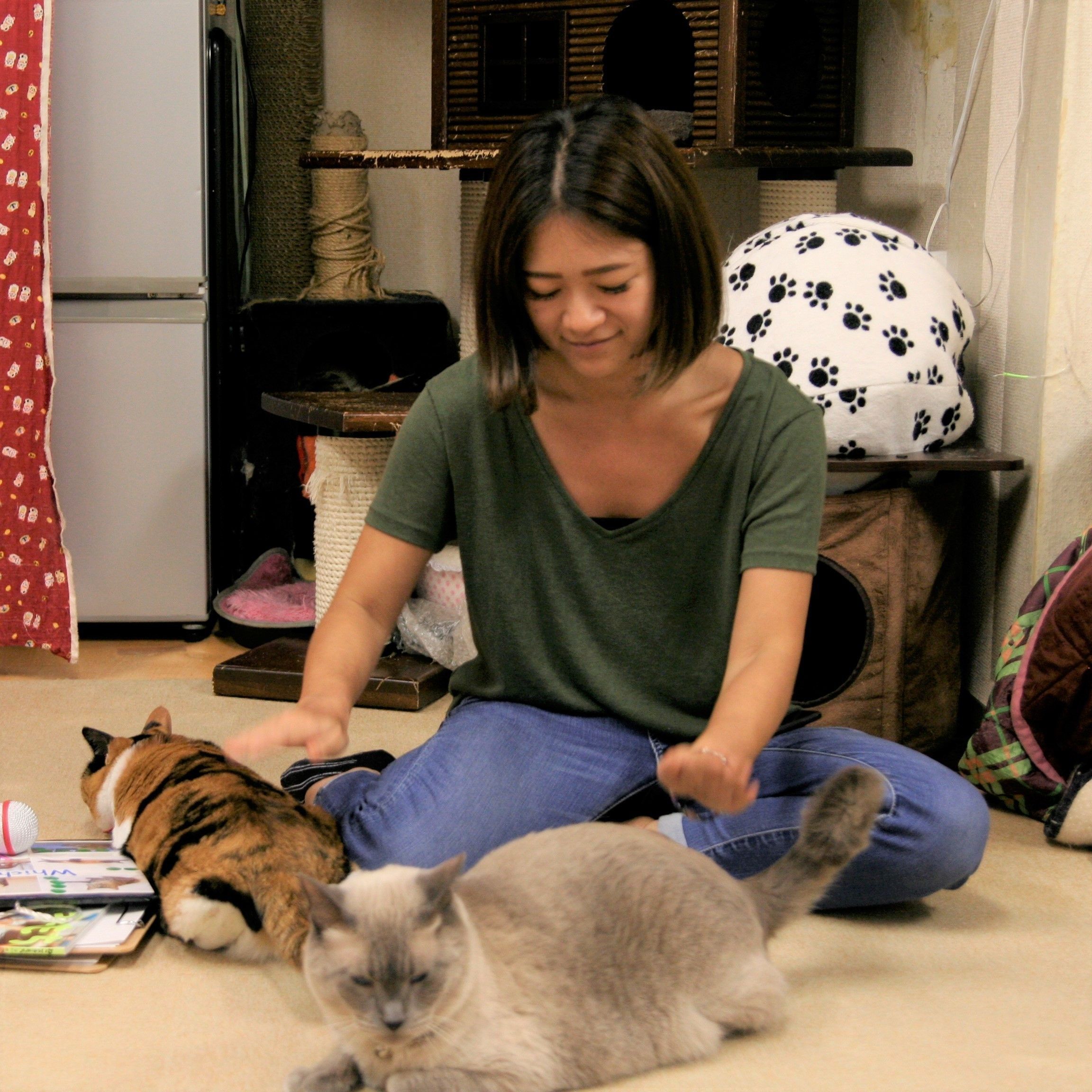 撮影協力／猫カフェ浅草ねこ園