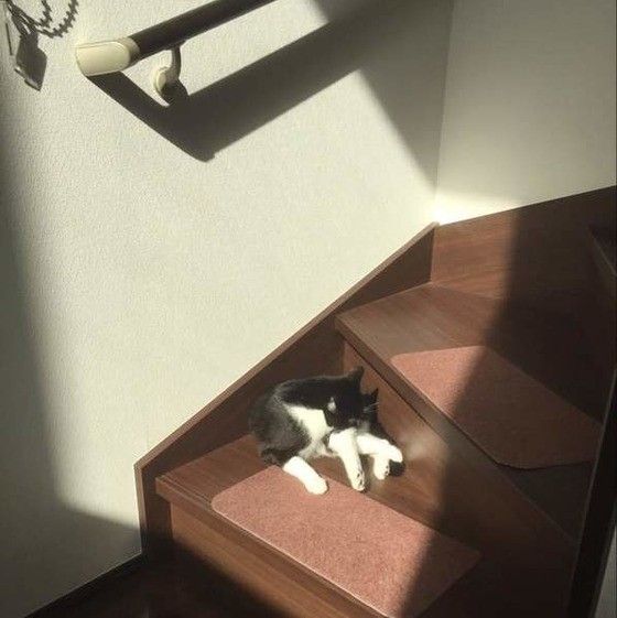 MIXのナナちゃん