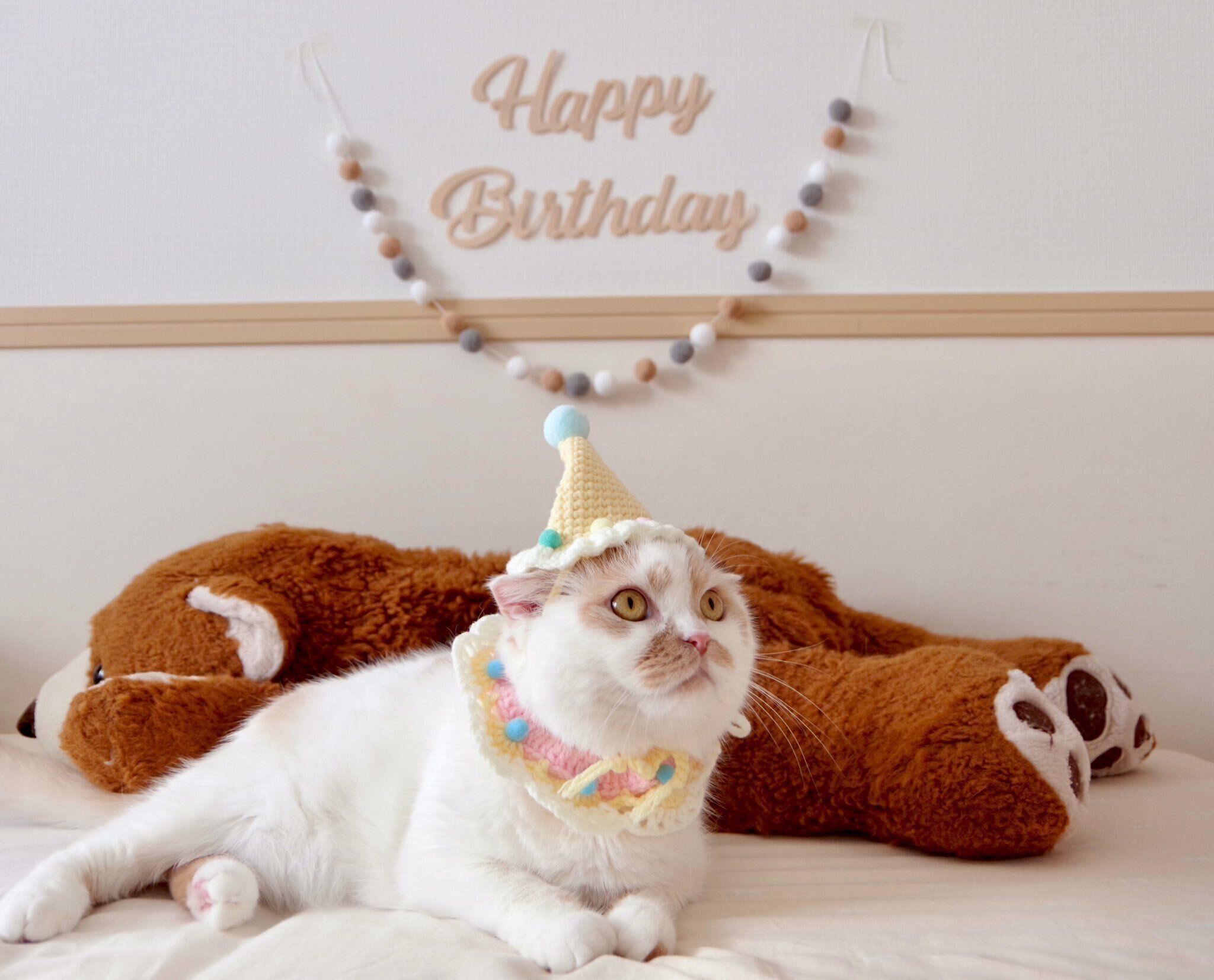 10才になったホイちゃん