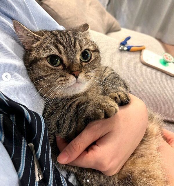 娘さんに抱っこされるまるくん