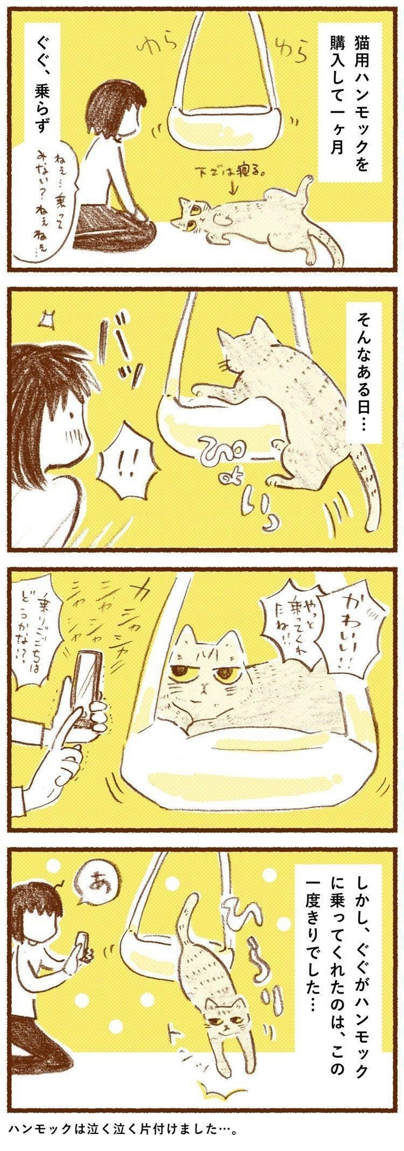 せっかく買ったのに無反応だった猫用ハンモック ついに日の目を見ることに しまねこぐぐ Vol 27 ねこのきもちweb Magazine せっかく買ったのに無反応だった猫用ハンモック ついに日の目を見ることに しまねこぐぐ Vol 27 ねこのきもちweb Magazine
