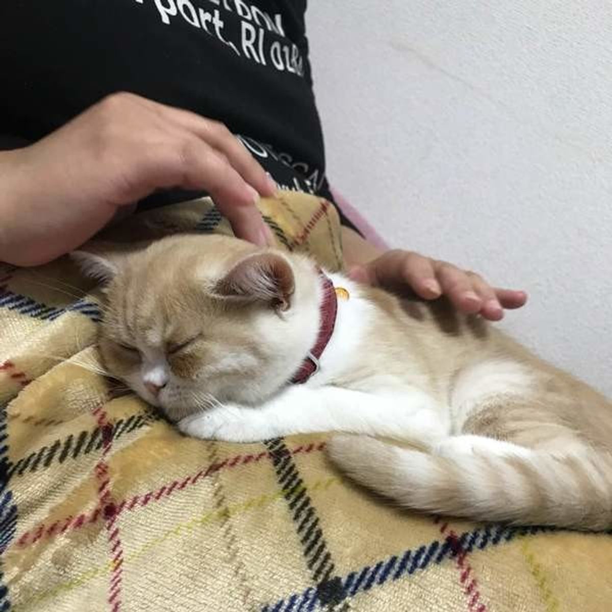 Sy8bnhcfyjomlm Sy8bnhcfyjomlm