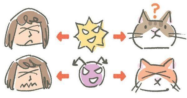 猫から間接的にうつりやすい病気