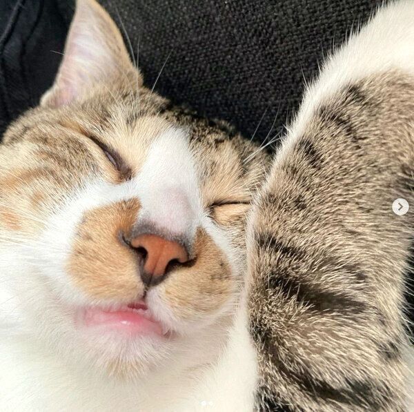 爆睡するレンくん