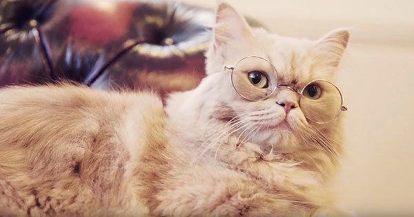 2offキャンペーン