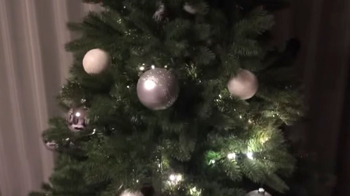 クリスマスツリーの中に 猫たち 大興奮でぴょこぴょこ祭りに ねこのきもちweb Magazine クリスマスツリーの中に 猫たち 大興奮でぴょこぴょこ祭りに ねこのきもちweb Magazine