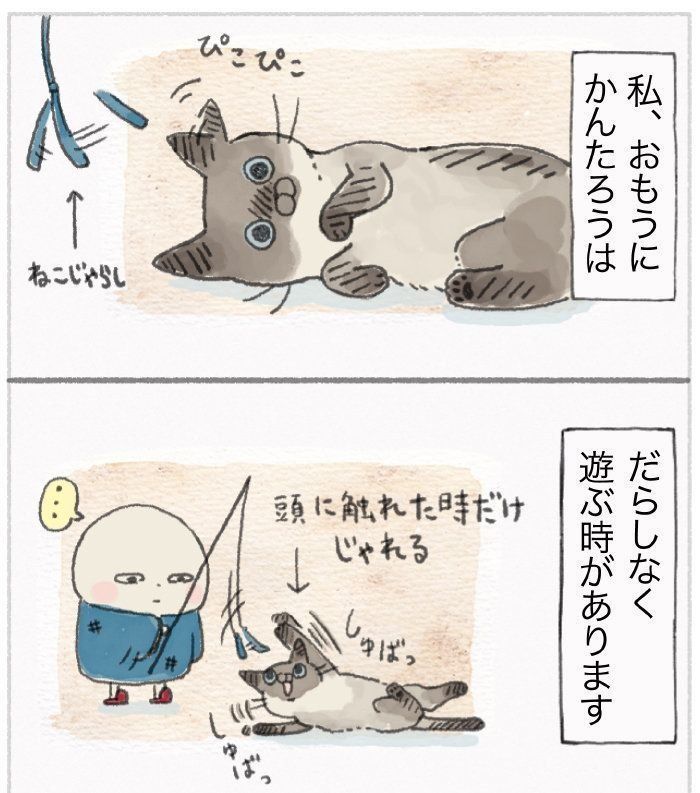『ねこ連れ草』47話め①