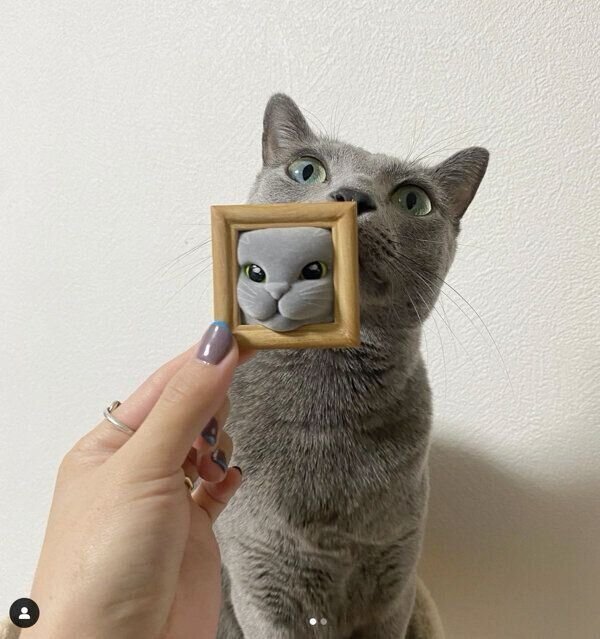 カプセルトイ「猫フレーム　スタンドフィギュア」