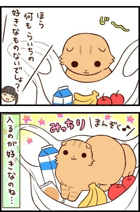 「もふもふスコたん」18話目