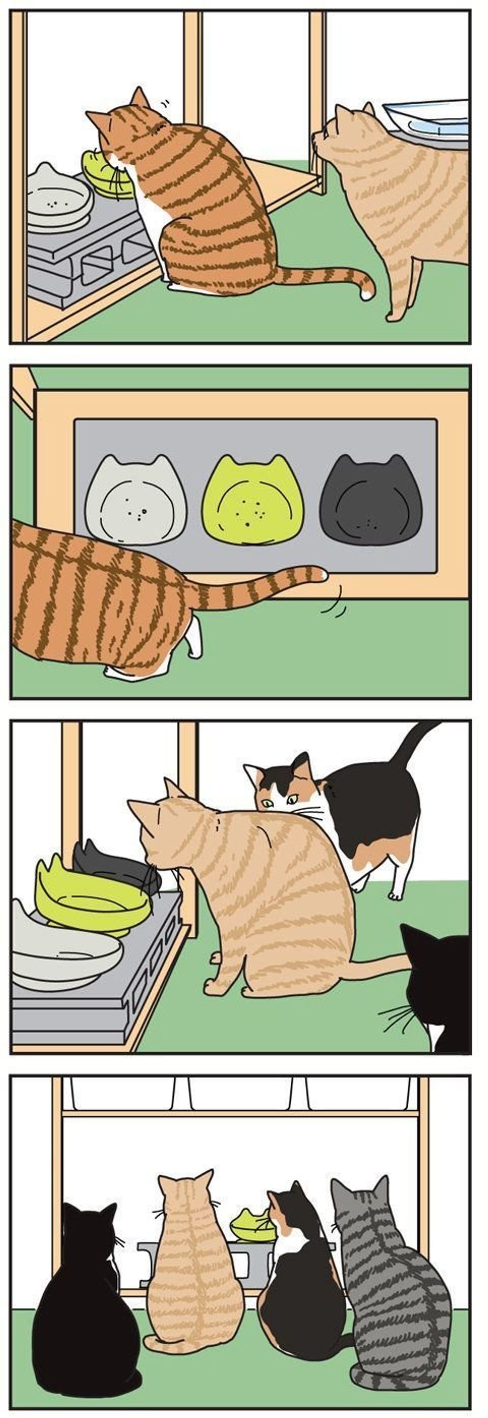 猫たちの餌の要求は 無言の訴えで始まる 男の猫道 Men S Cat 5 ねこのきもちweb Magazine 猫たちの餌の要求は 無言の訴えで始まる 男の猫道 Men S Cat 5 ねこのきもちweb Magazine