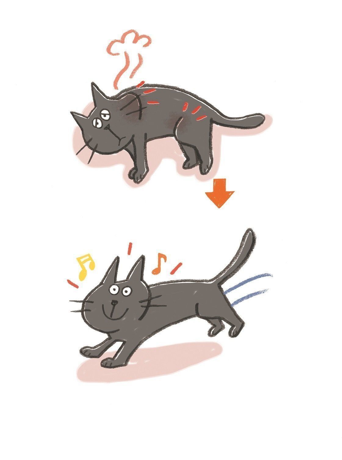 イラスト／上垣厚子