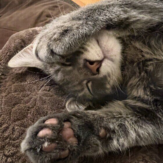 眠るMIXの女の子