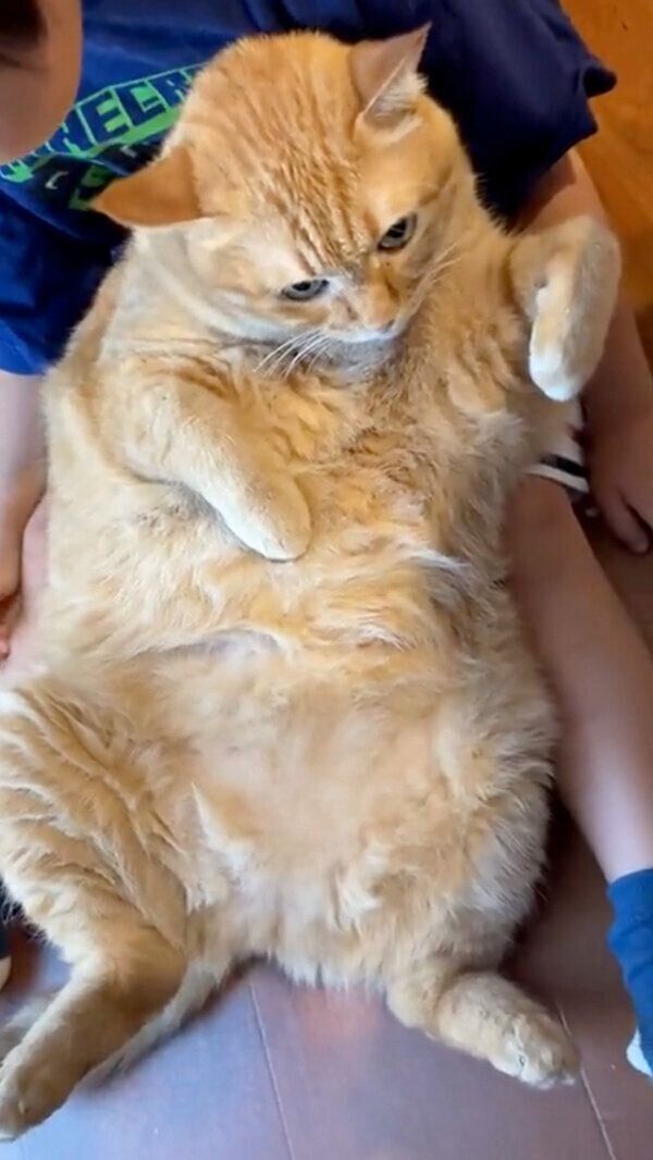 まったりするすずくん