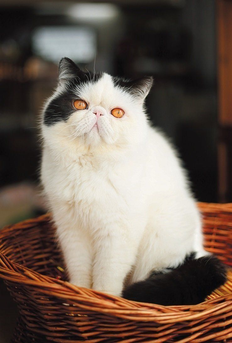 撮影／長谷川里美