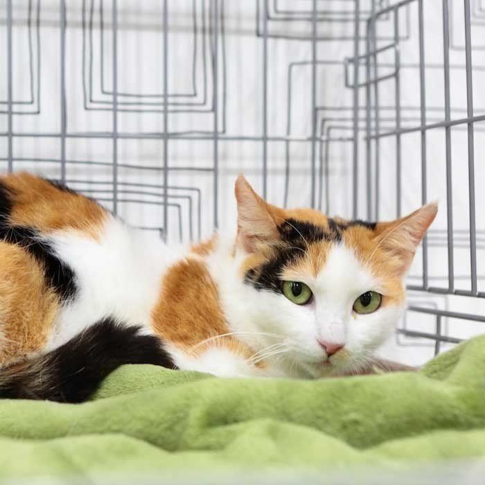 撮影／佐藤純子