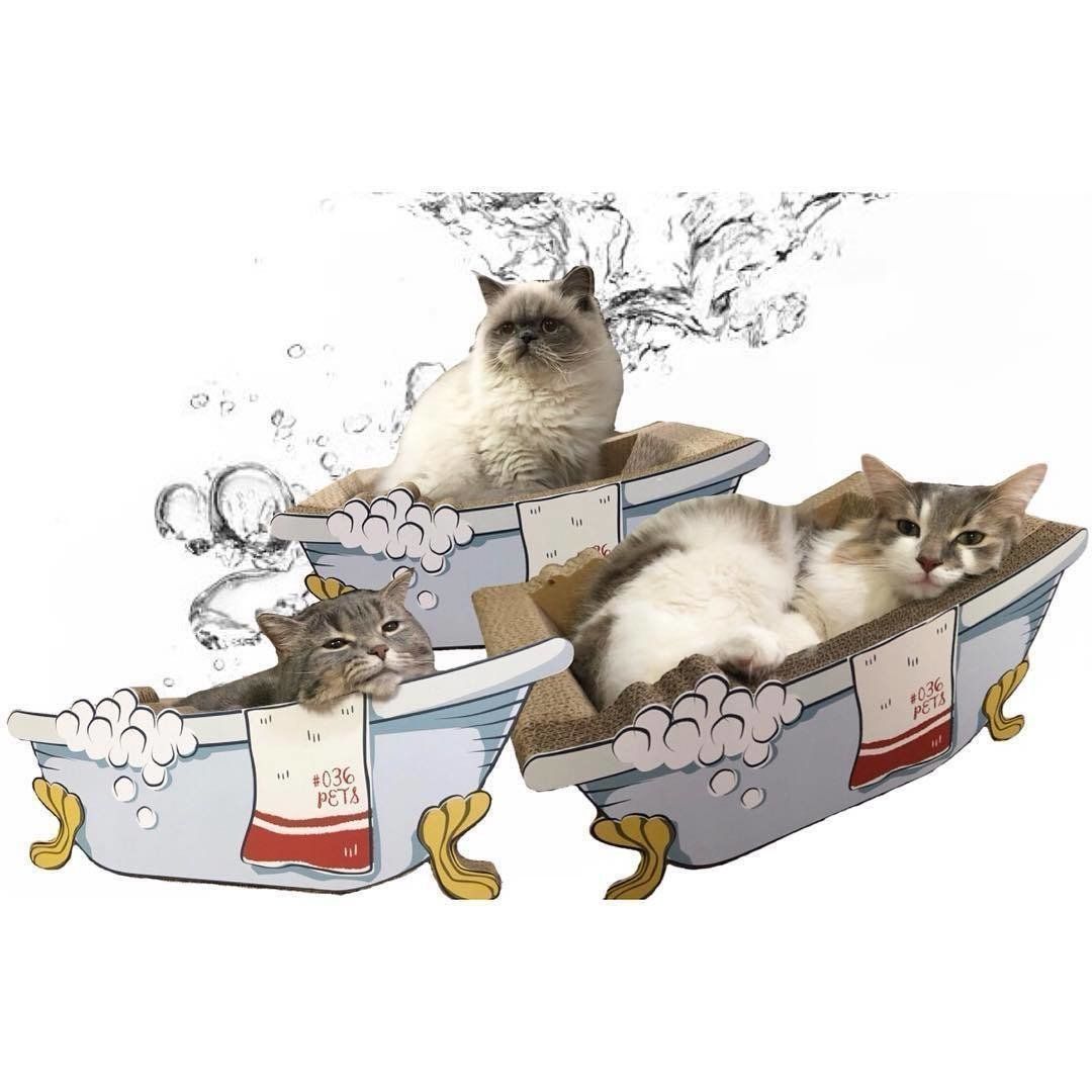 みんなでリラックス