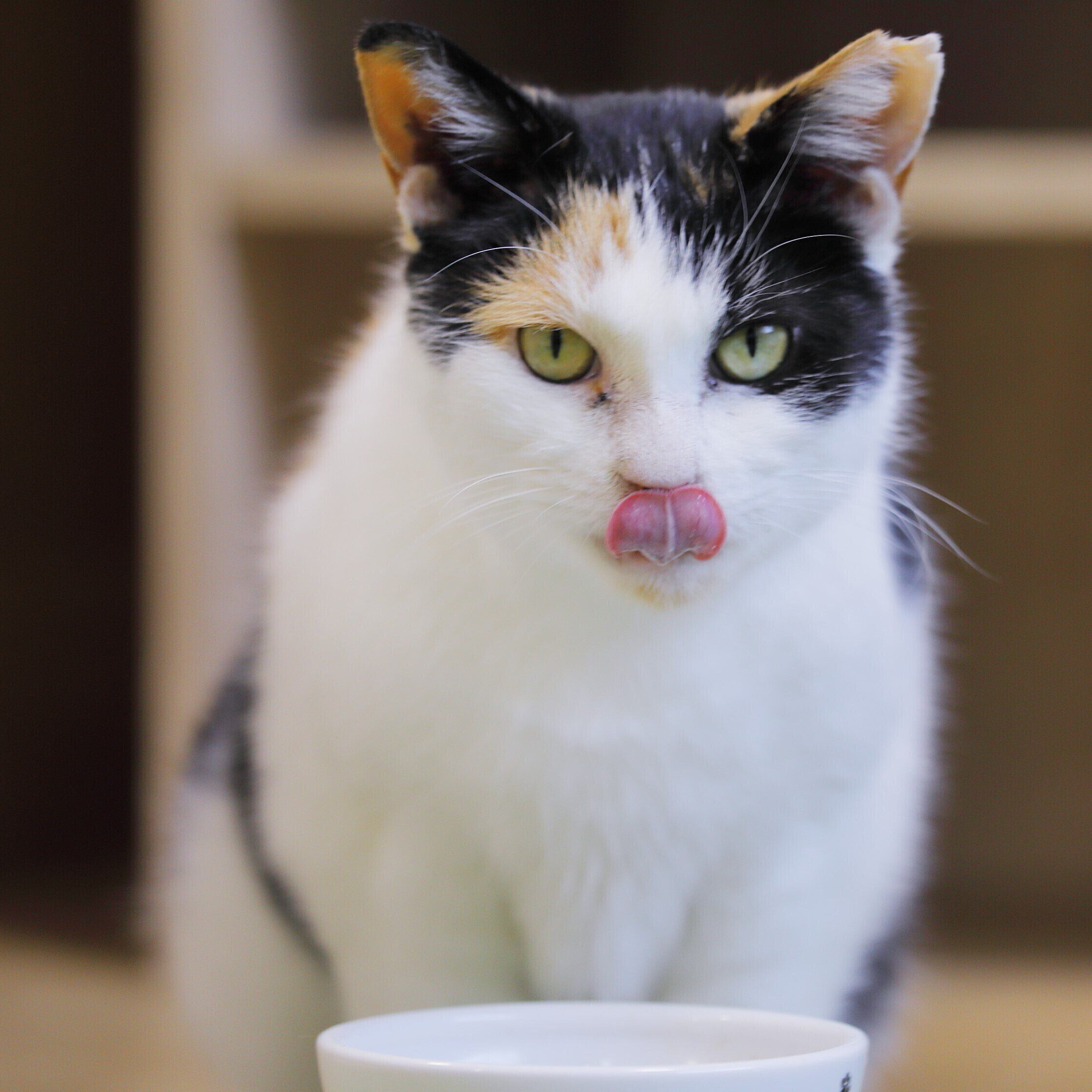 撮影／後藤さくら