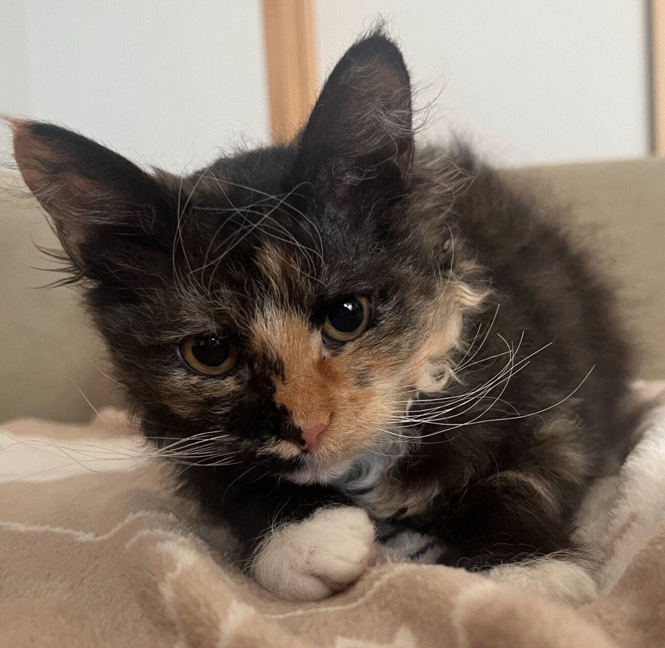 生後5カ月のころに撮影したエカちゃん