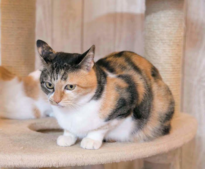 緊張しているとこんな体勢に……