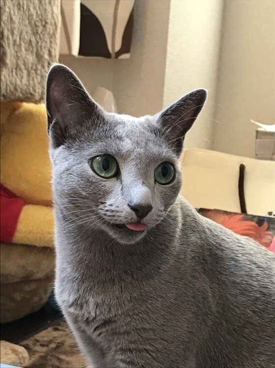 しまい忘れてるよー。