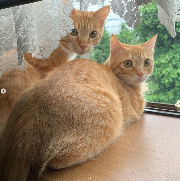 振り返るツムくんとサムくん