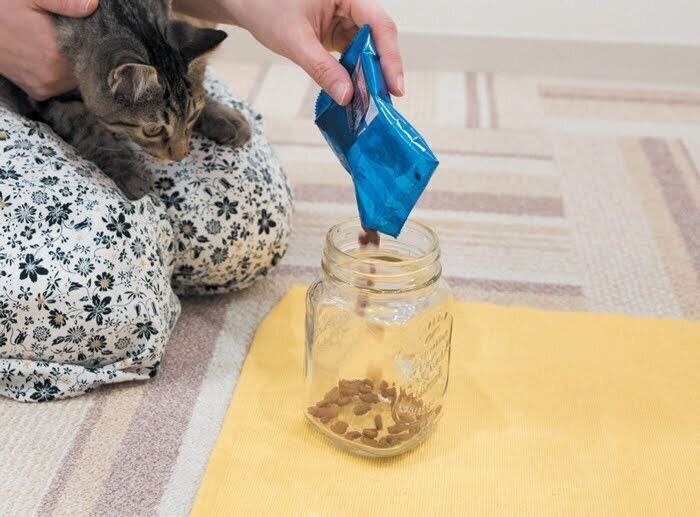 瓶の中にキャットフードを入れる