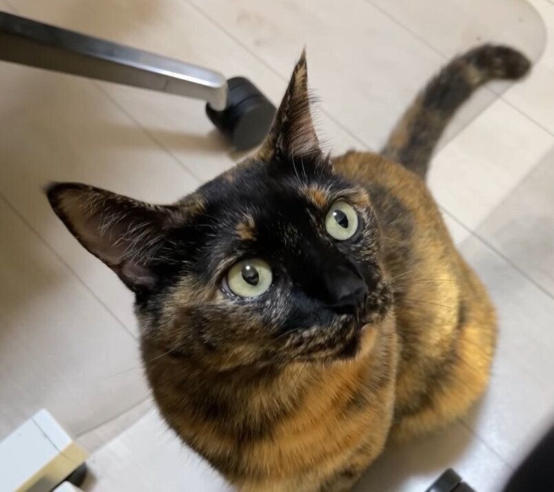 ママさんに甘えるモモちゃん