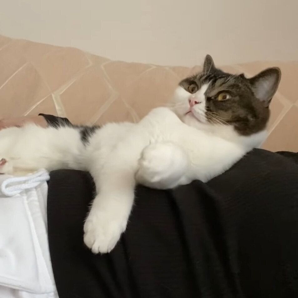 くつろぐうま次郎ちゃん