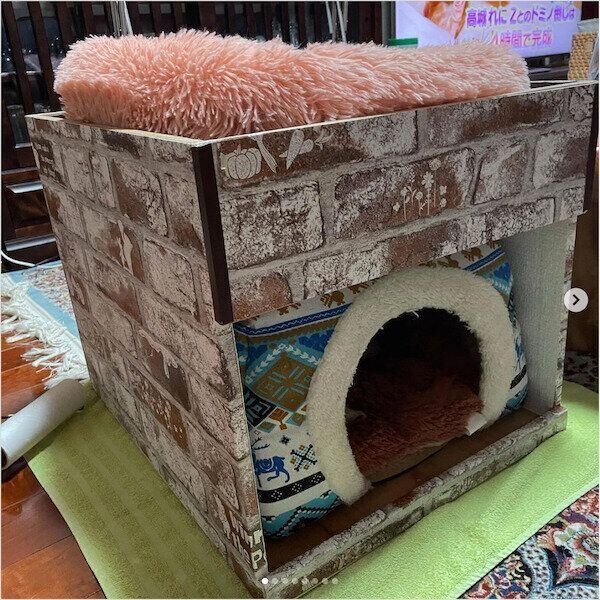 DIY猫ハウス