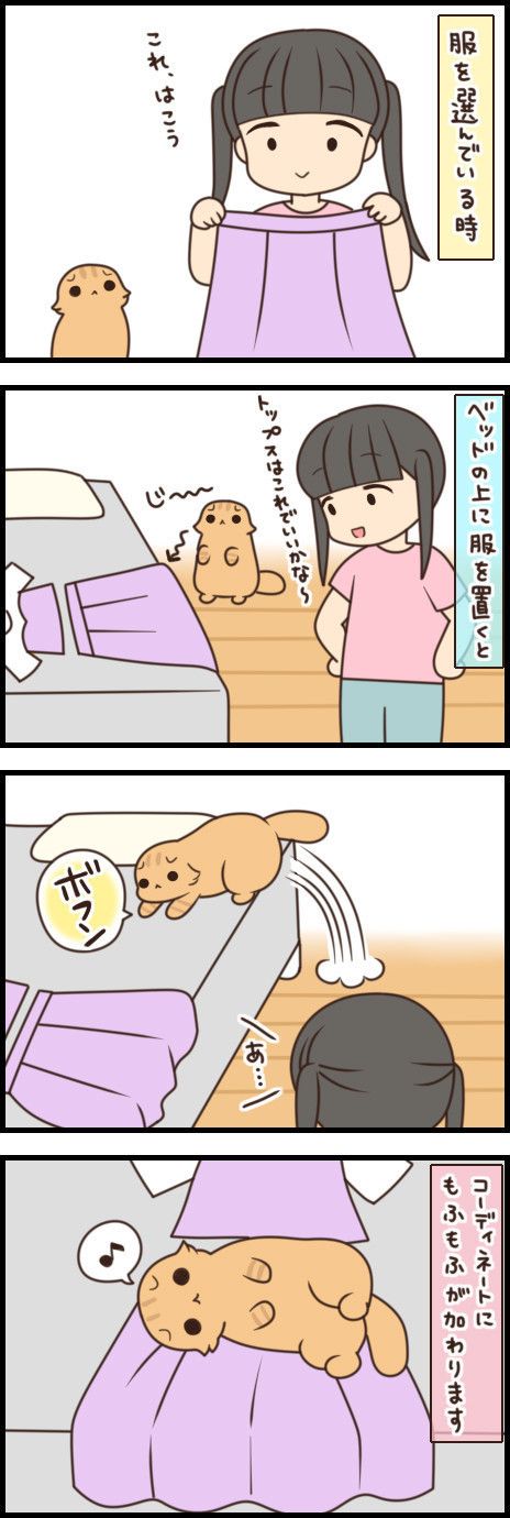 「もふもふスコたん」61話目
