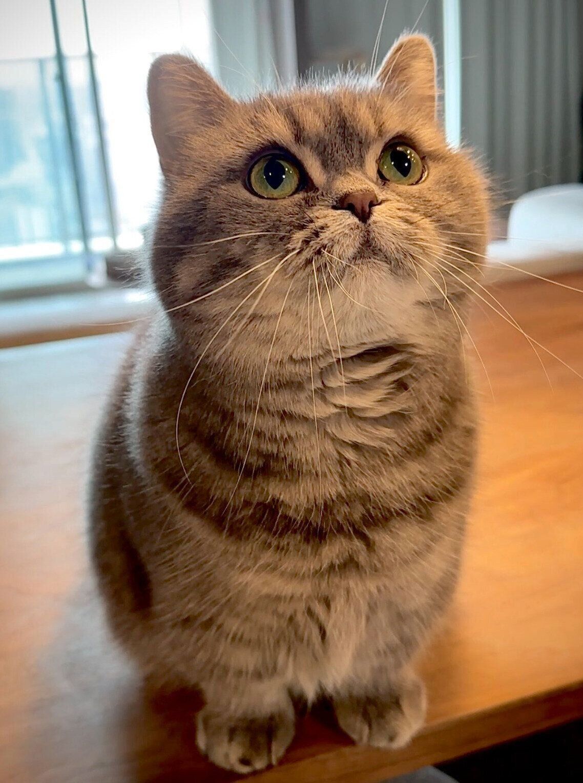 上を見るひまりちゃん