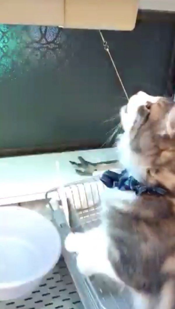 電気をつけるユキくん