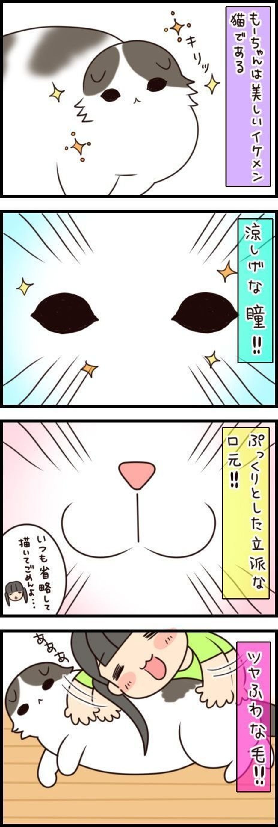 いいつくせない猫の魅力は ちょっと変なしぐさがあるからこそ もふもふスコたん Vol 80 ねこのきもちweb Magazine いいつくせない猫の魅力は ちょっと変なしぐさがあるからこそ もふもふスコたん Vol 80 ねこのきもちweb Magazine