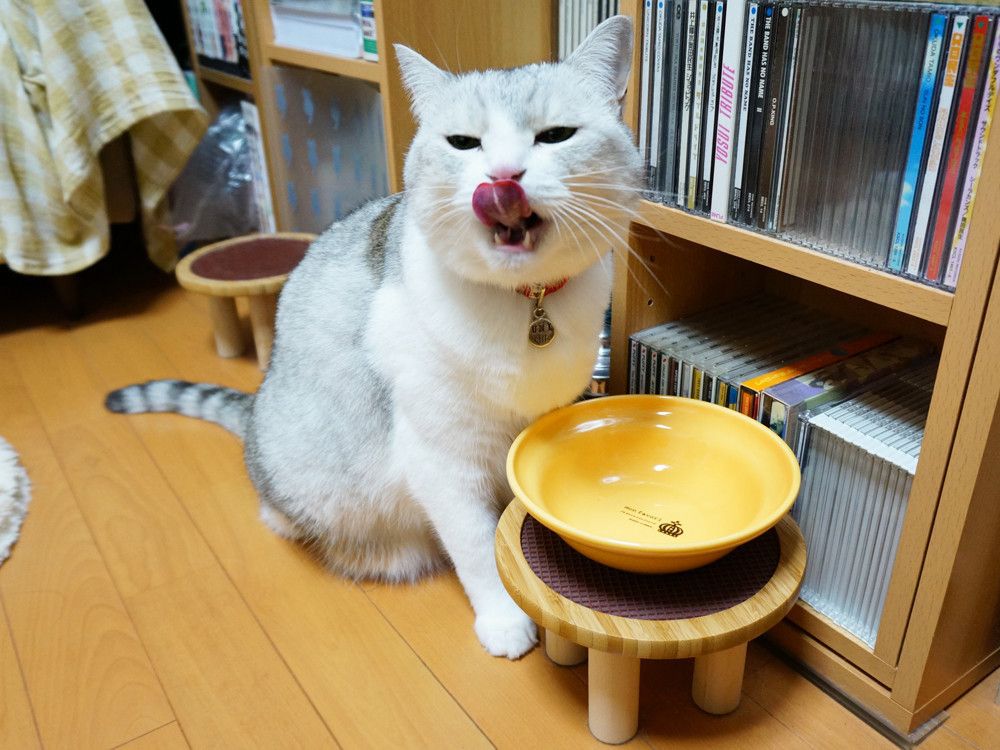 ごちそうさまのうにちゃん