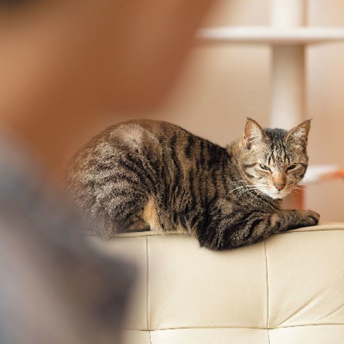 撮影／Akimasa Harada