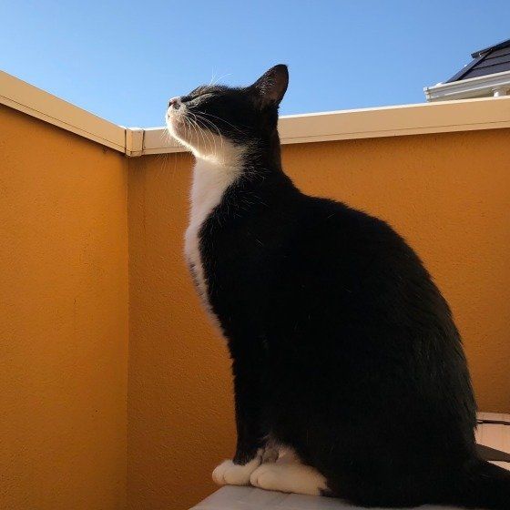 秋晴れの空気を楽しむMIX