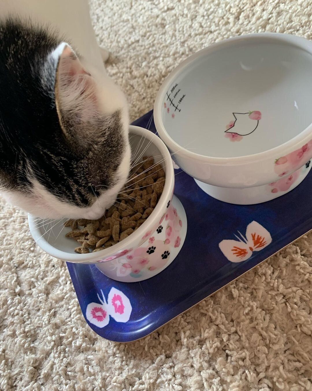 桜といちごのボウル