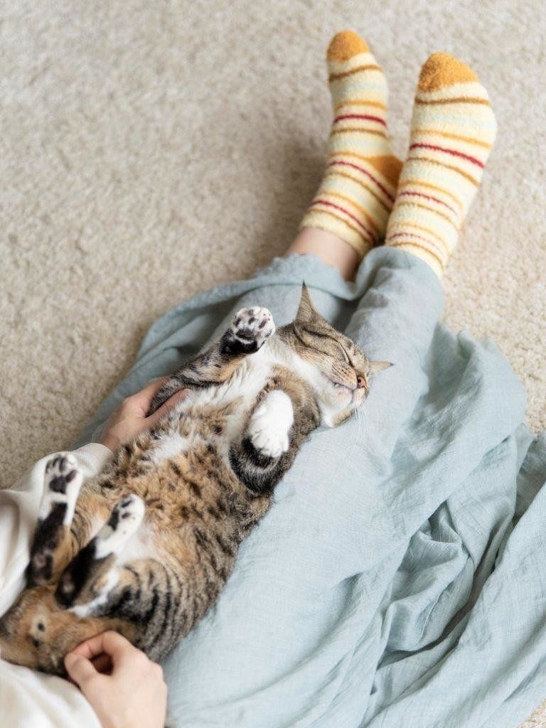 撮影／Akimasa Harada