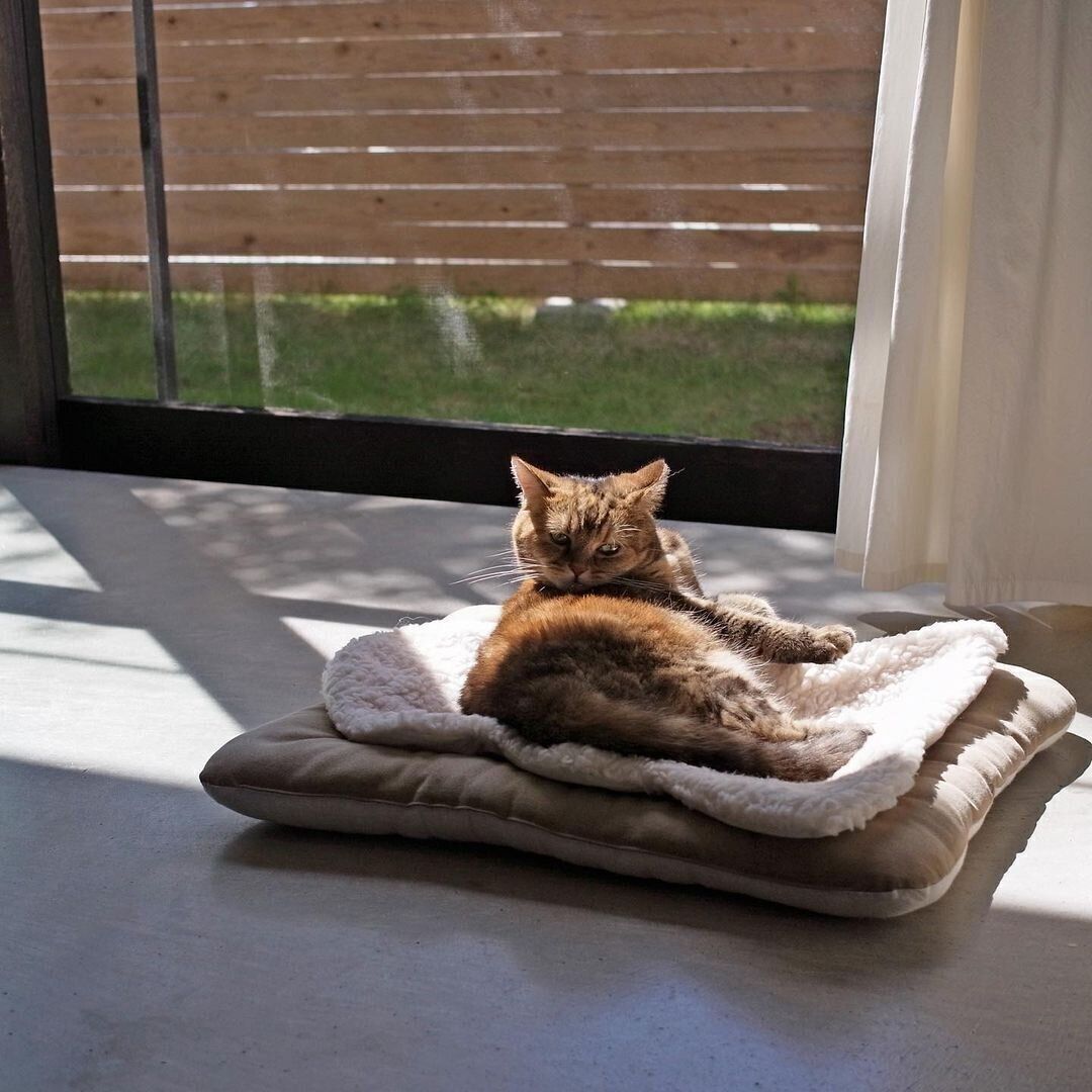 アニマル型シープボアマット