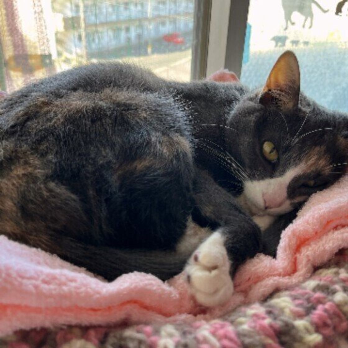 S9cayons4czrxm S9cayons4czrxm