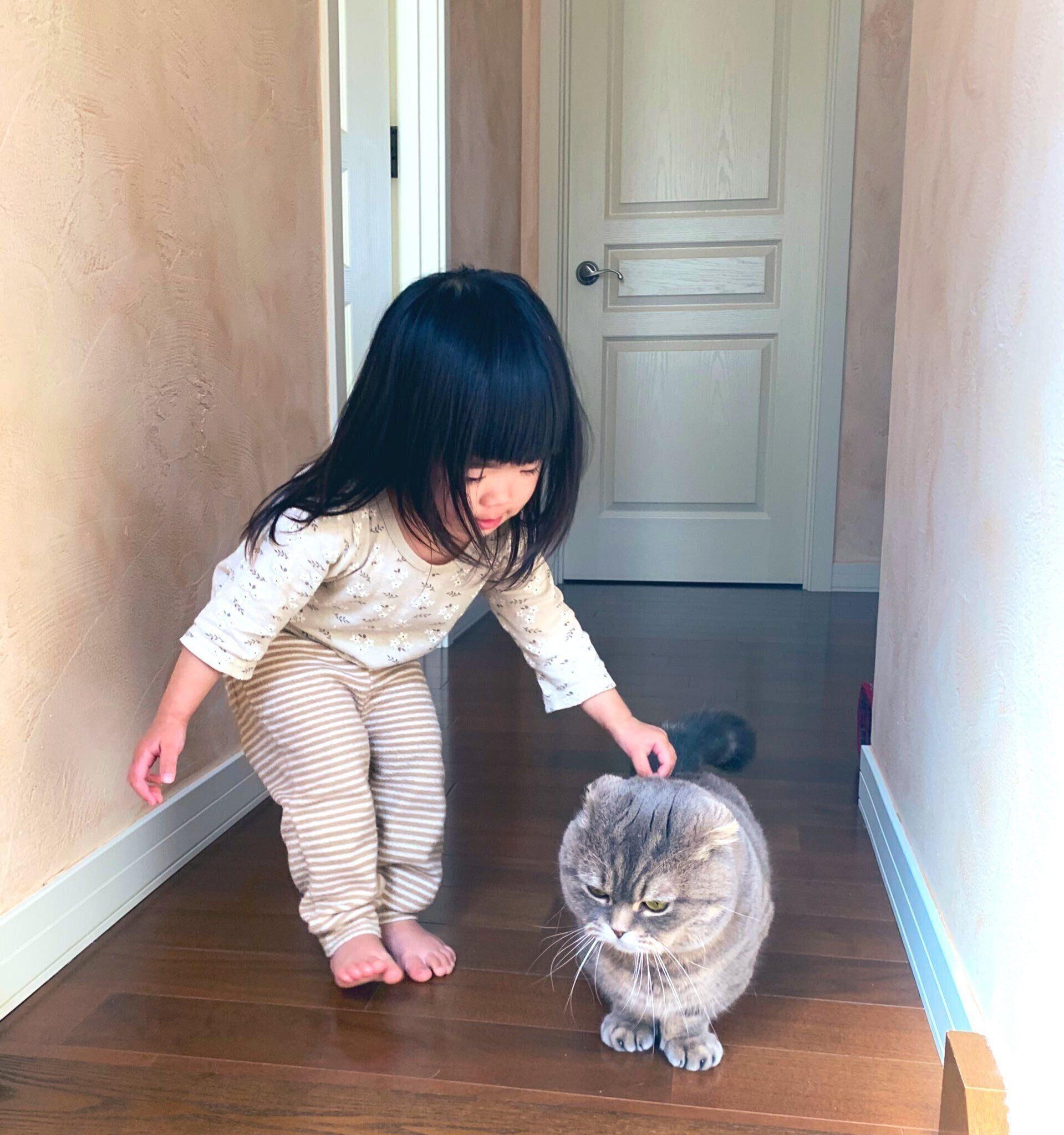 たこやきくんの背中をなでる娘さん