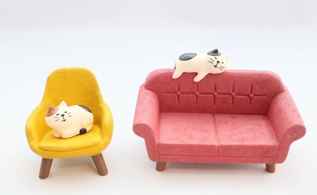 ごめん寝コンコンブル