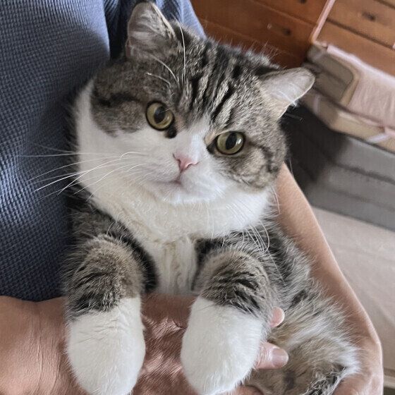 抱っこされる大福くん