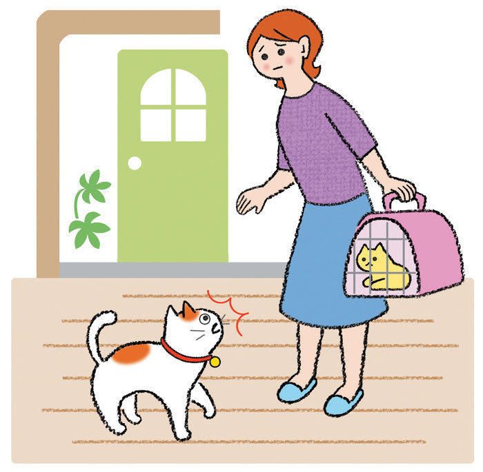 イラスト／内田尚子