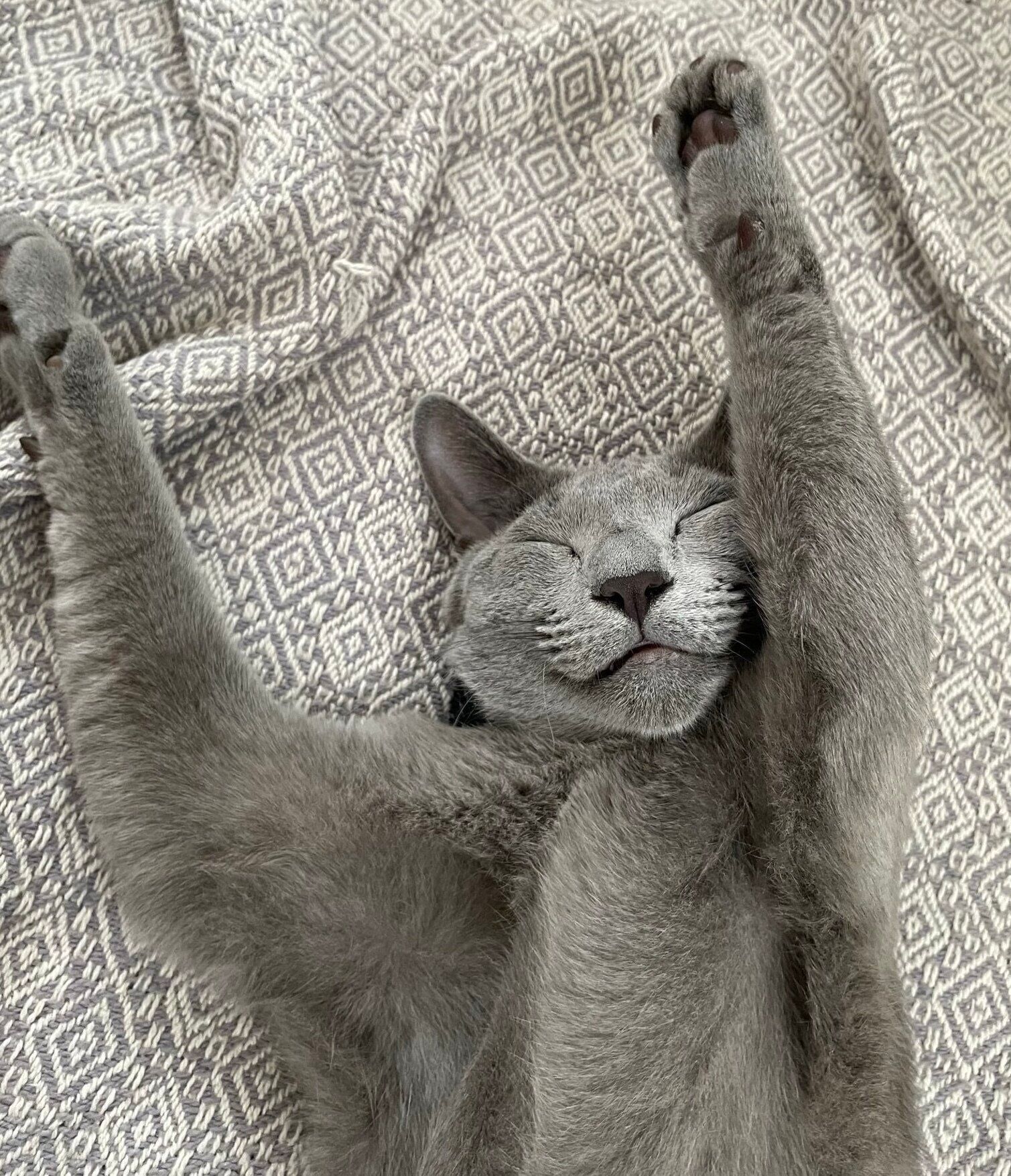 バンザイ寝をするカイくん