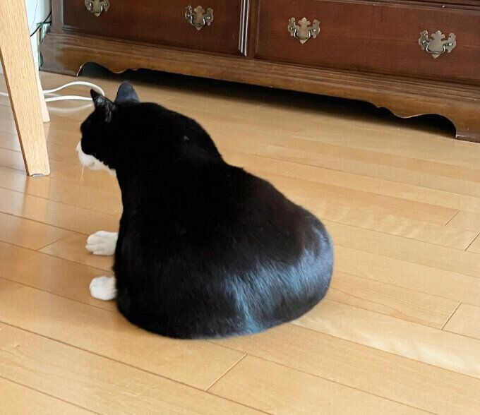 「不思議な形状」のキキ様