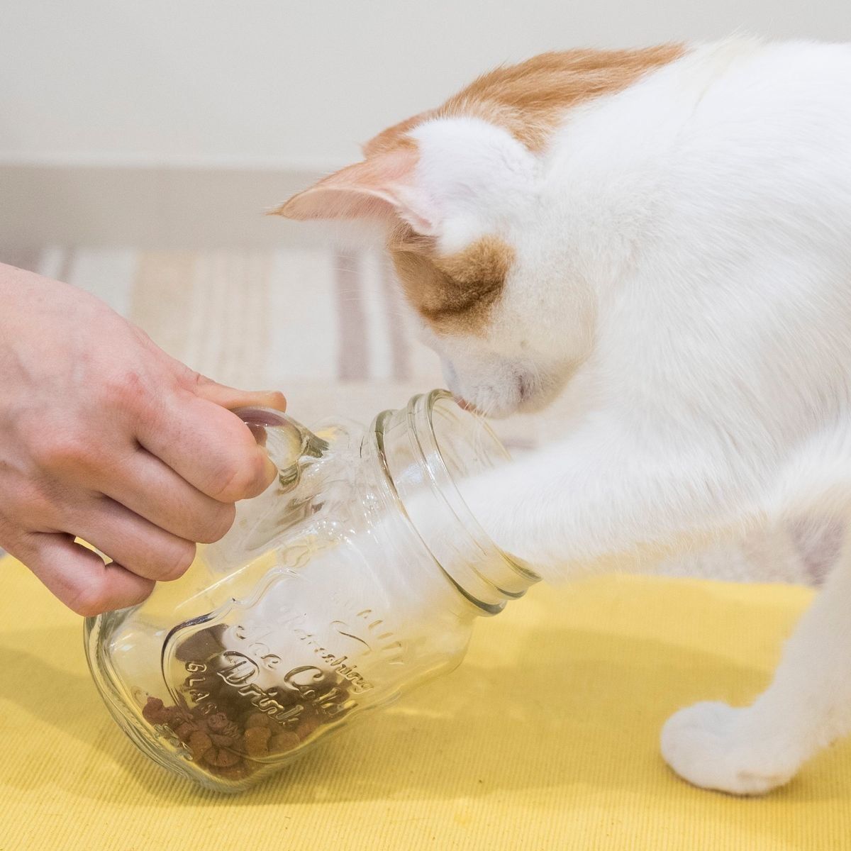 撮影／中川文作