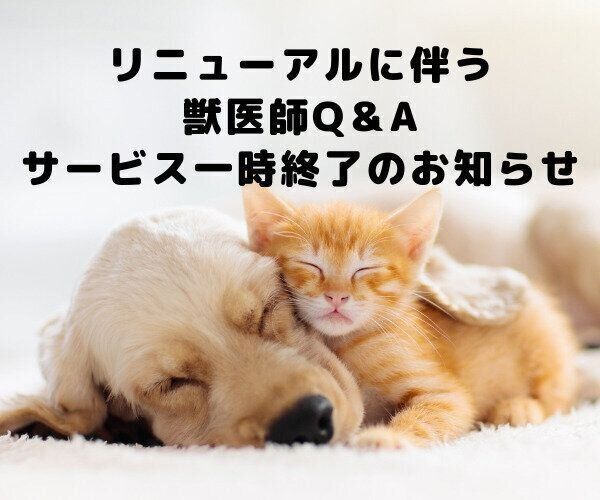 oshirase