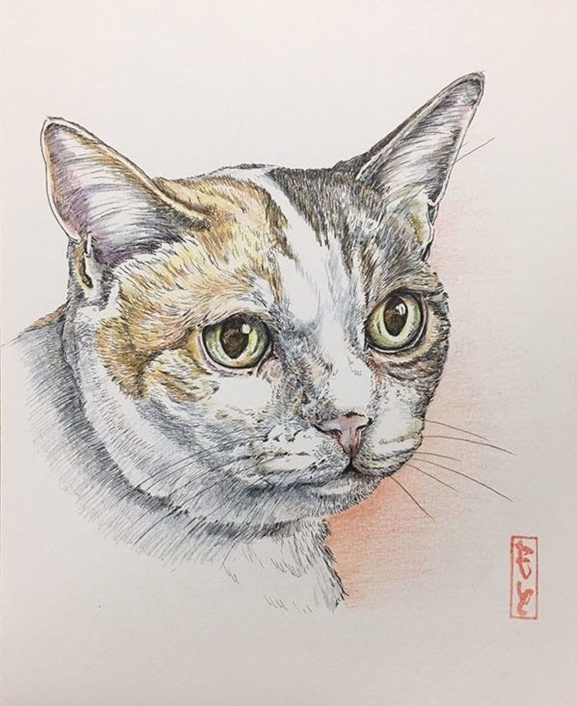 猫好きさんに話題沸騰中 超リアルな世界でひとつのオーダーメイド作品が素敵 ねこのきもちweb Magazine 猫好きさんに話題沸騰中 超リアルな世界でひとつのオーダーメイド作品が素敵 ねこのきもちweb Magazine